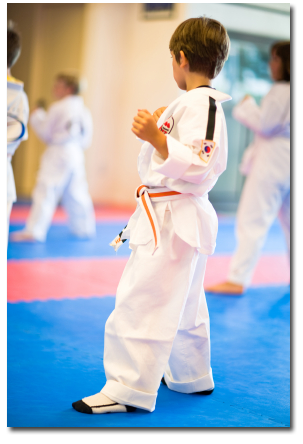 Macon's Karate Camp Location